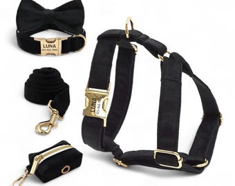Personalized Midnight Black Velvet Harness Collar Leash Bow Tie Poo Bag Set | Dog Harness with Leash | Matching Dog Collar Leash Harness