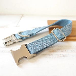 Puede incluir: Un collar para perro de mezclilla azul claro con una hebilla plateada y un anillo en D plateado.