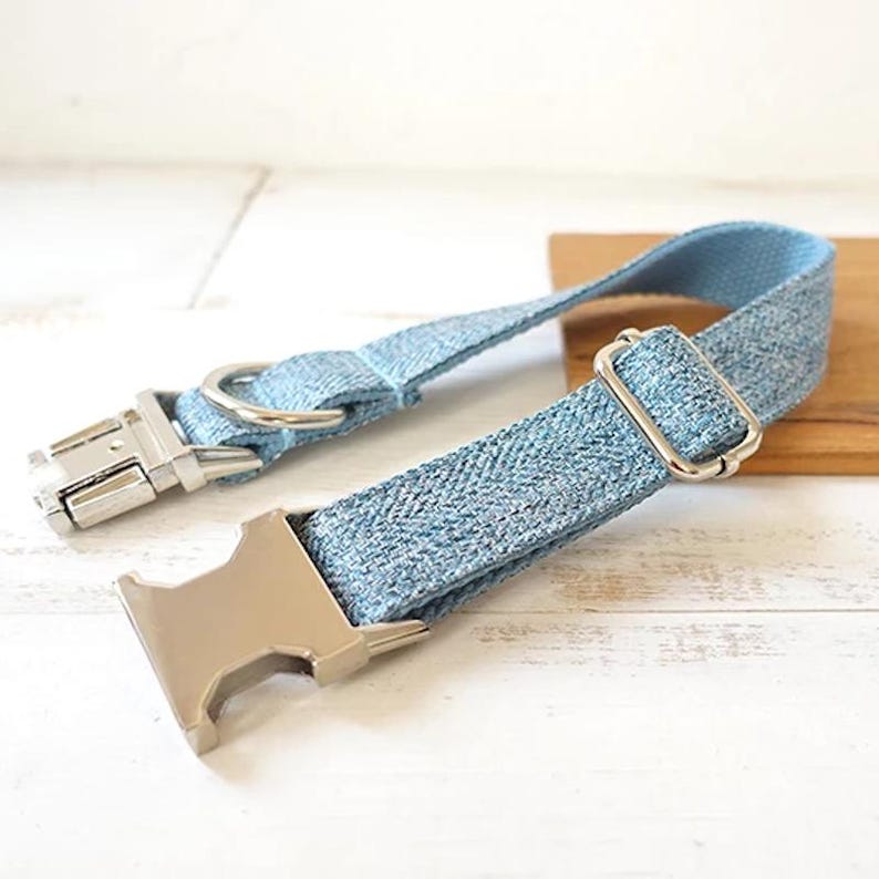 Puede incluir: Un collar para perro de mezclilla azul claro con una hebilla plateada y un anillo en D plateado.
