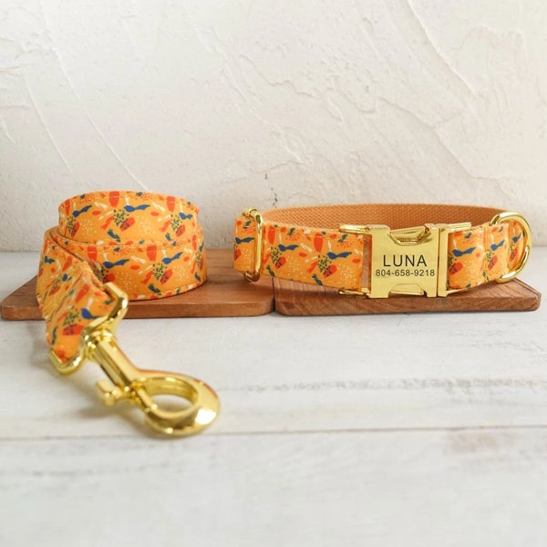 Orange Personalisiertes Hundehalsband und Leine - Personalisiertes Hundehalsband und Leine - Niedliches farbiges Halsband - Buntes Hundehalsband & Fliege - Haustier Leine