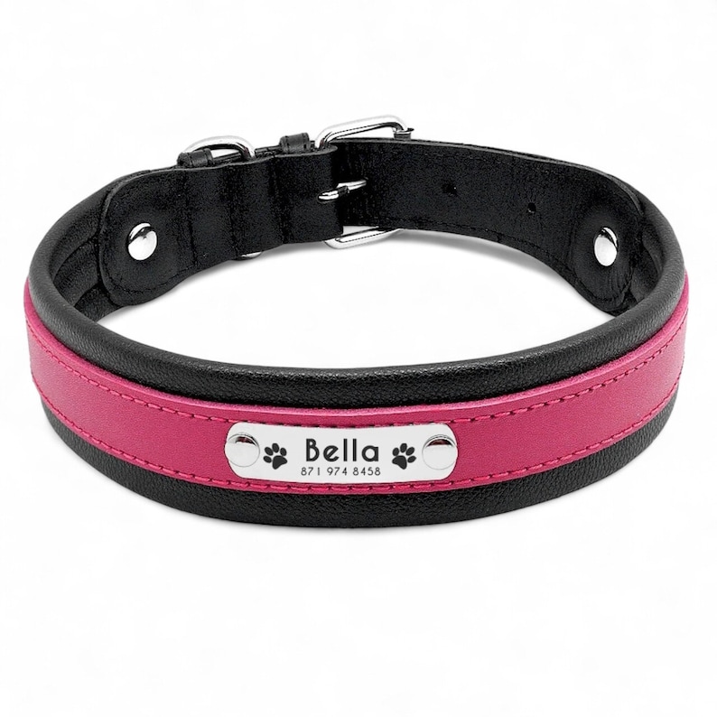 K&ouml;nnte beinhalten: Schwarzes Lederhundekragen mit rosa Akzent und einem silbernen Namensschild mit der Aufschrift "Bella" und einer Telefonnummer.