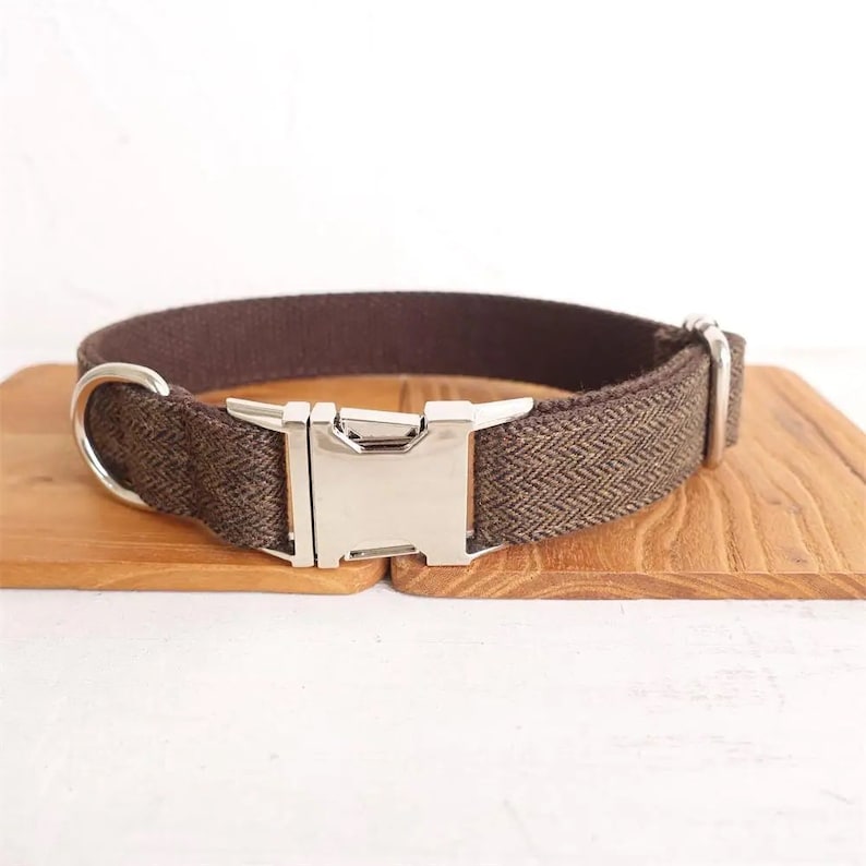 May include: A brown herringbone patterned dog collar with a silver buckle.