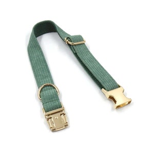 Puede incluir: Un collar de perro de pana verde con herrajes de metal dorado. El collar tiene un cierre de hebilla y un anillo en D.