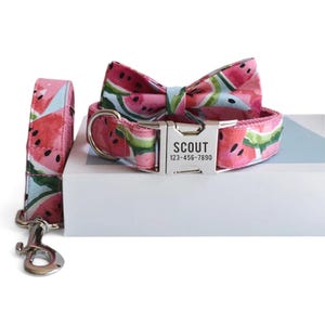 May include: A pink dog collar, leash, and bow tie set with a watermelon pattern. The collar has a silver buckle with the name "SCOUT" and a phone number. The bow tie is light blue in the center. The leash has a silver clasp.