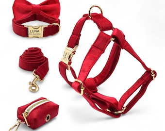 May include: Red velvet dog harness, leash, collar, and poop bag holder set with gold hardware. The collar and harness have personalized name tags that read "LUNA" with a phone number.
