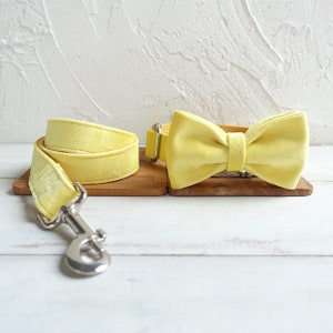 Collier et laisse pour chien personnalisés en velours jaune citron Collier et laisse pour chien personnalisés Collier pour chien et noeud papillon jaunes Collier pour chien souple Collar,Leash&Bow Tie