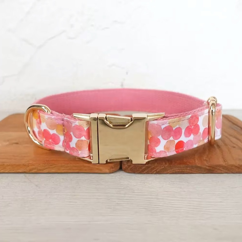 May include: A pink dog collar with a gold buckle and a white background with pink and orange watercolor dots.