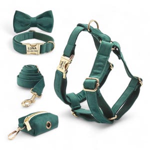 Personalized Dark Green Velvet Harness Collar Leash Bow Tie Poo Bag Set | Personalised Dog Harness & Leash | Matching Dog Collar Dog Harness