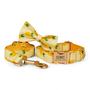 May include: A yellow and white pineapple print dog collar and leash set with a gold buckle and a matching bow tie. The buckle has the text "SCOUT 123-456-7890" on it.