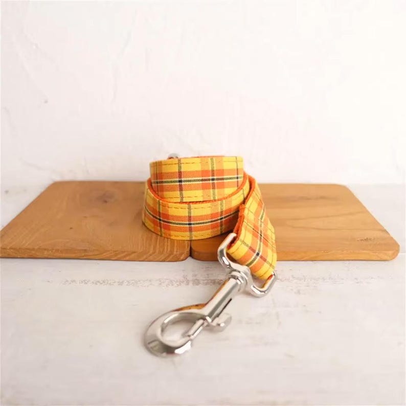 May include: A yellow and orange plaid dog leash with a silver clip.