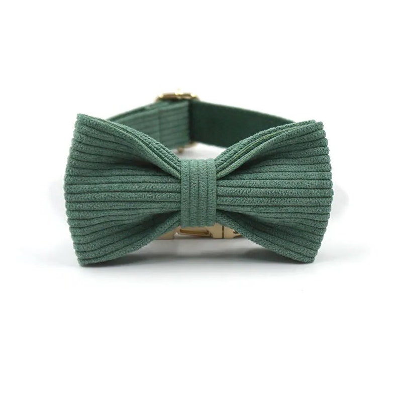 Puede incluir: Una pajarita de pana verde con una hebilla dorada. La pajarita est&aacute; hecha de una tela suave y texturizada.