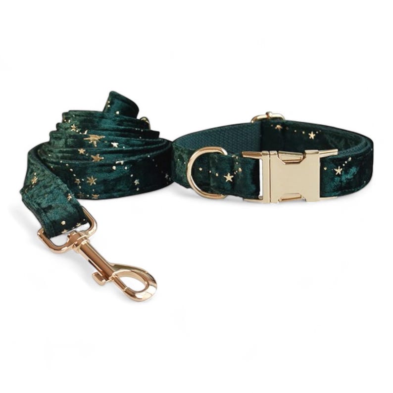 Puede incluir: Un collar y una correa para perro de terciopelo verde con detalles de estrellas doradas y una hebilla de metal dorado.
