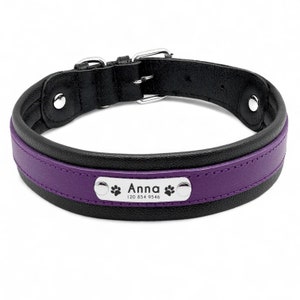 K&ouml;nnte beinhalten: Ein schwarzes Lederhundekragen mit einem violetten Akzent und einem silbernen Namensschild mit der Aufschrift "Anna 120 854 9546" mit Pfotenabdr&uuml;cken auf beiden Seiten.