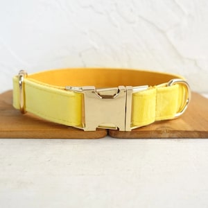 Lemon Yellow Velvet Personalized Dog Collar and Leash Personalised Dog Collar and Leash Yellow Dog Collar and Bow Tie Soft Dog Collar Collar Only
