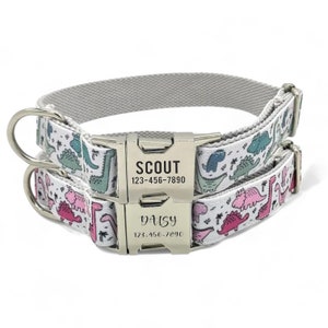 Cute Dinosaurs Personalized Dog Collar & Leash - Dino Dog Collar and Lead - Pink Green T Rex Triceraptops Stegesaur Stegosaurus Dog Collars