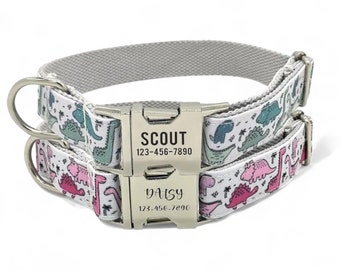 Cute Dinosaurs Personalized Dog Collar & Leash - Dino Dog Collar and Lead - Pink Green T Rex Triceraptops Stegesaur Stegosaurus Dog Collars