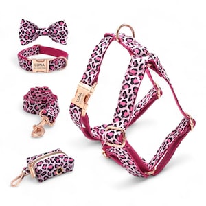 Pode incluir: Coleira, trela, arnês, gravata borboleta e porta-sacos para cães com estampa de leopardo rosa e preto. O conjunto inclui uma etiqueta de nome personalizada com o nome "LUNA" e o número de telefone.