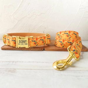 Pu&ograve; includere: Un set di collare e guinzaglio per cani giallo e arancione con una fibbia dorata e un'etichetta personalizzata che recita "SCOUT 123-456-7890".