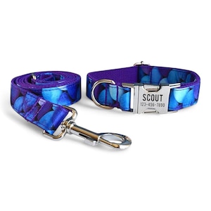May include: A purple and blue dog collar and lead set with a silver buckle. The buckle has the name "SCOUT" and the phone number "123-456-7890" engraved on it.