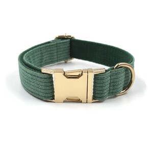 Puede incluir: Un collar de perro de pana verde con una hebilla de metal dorado y un anillo en D.