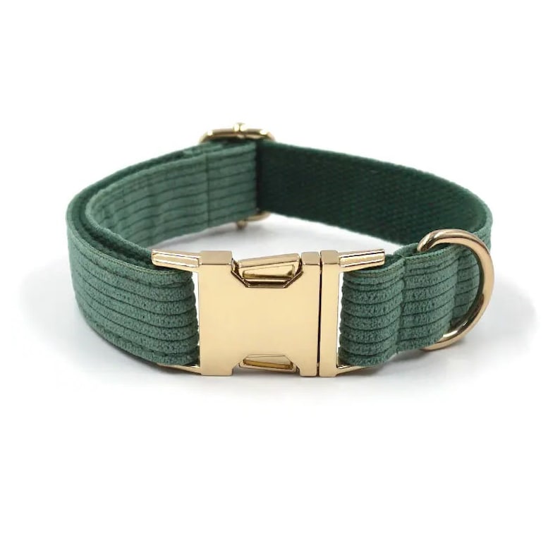 Puede incluir: Un collar de perro de pana verde con una hebilla de metal dorado y un anillo en D.
