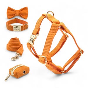 Personalized Orange Corduroy Harness Collar Leash Bow Tie Poo Bag Set | Personalised Dog Harness & Leash | Matching Dog Collar Leash Harness