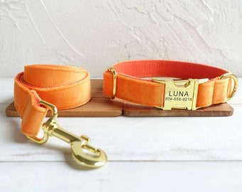 Orange Velvet Personalized Dog Collar and Leash - Personalised Dog Collar and Leash - Bright Color Collar - Collar with Bow Tie -Cute Collar