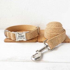 Puede incluir: Un collar de perro de corcho marrón con una hebilla plateada y una etiqueta personalizada que dice "SCOUT 123-456-7890". El collar se combina con una correa de corcho marrón a juego con un clip plateado.