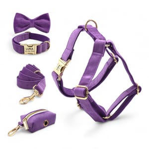 Personalized Purple Velvet Harness Collar Leash Bow Tie Poo Bag Set | Personalised Dog Harness and Leash | Matching Dog Collar Leash Harness
