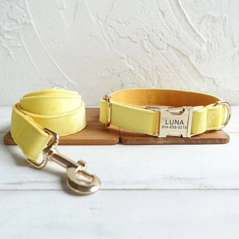 Collier et laisse pour chien personnalisés en velours jaune citron Collier et laisse pour chien personnalisés Collier pour chien et noeud papillon jaunes Collier pour chien souple Collar & Leash