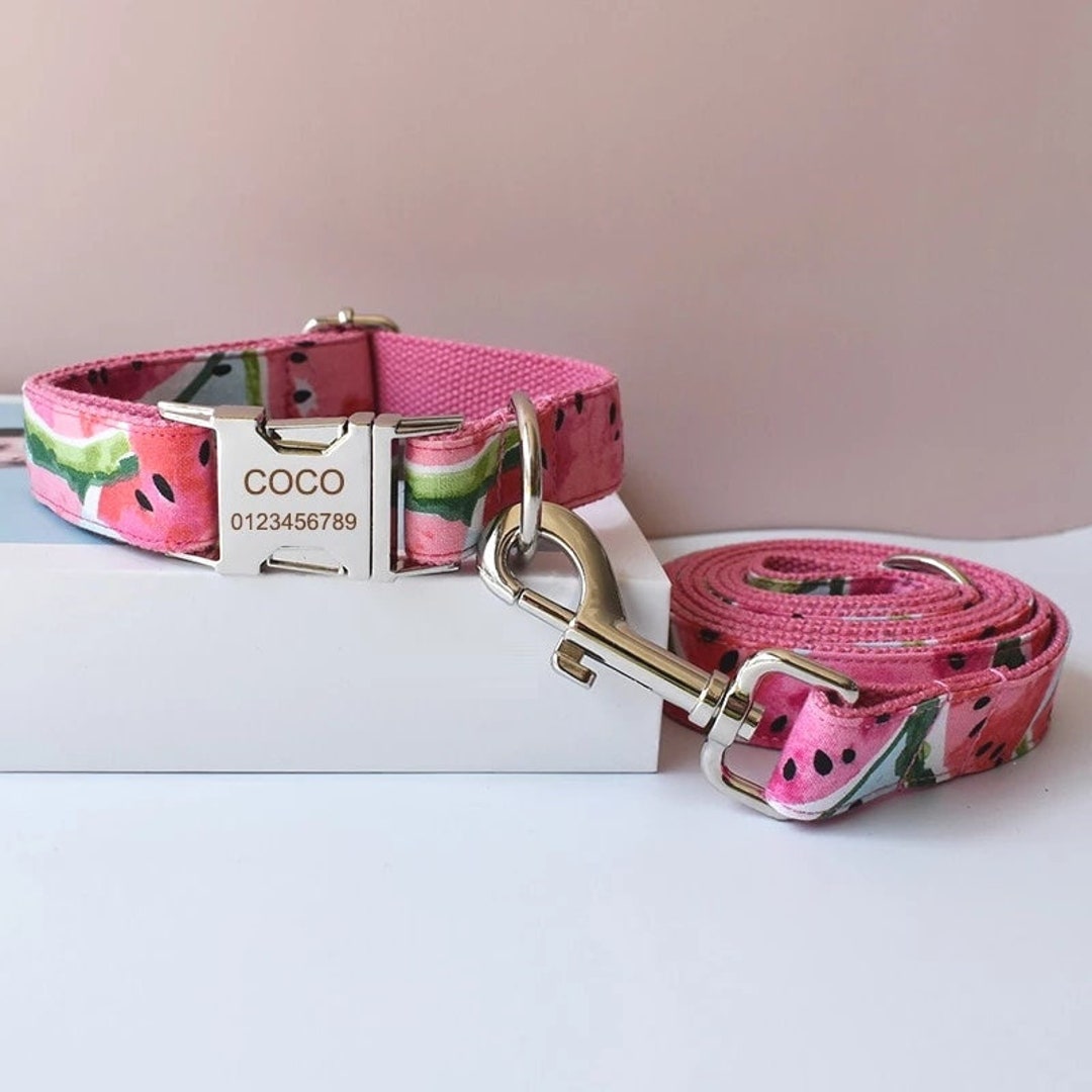 Watermelon Personalized Collar and Leash Watermelons Dog Etsy