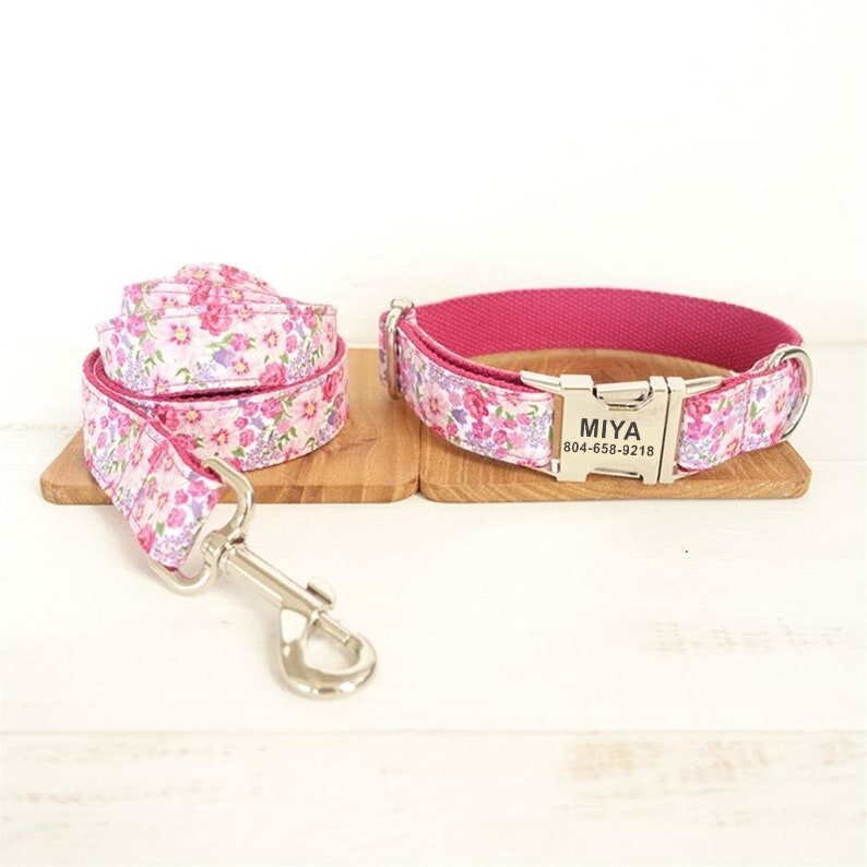 Female dog best sale collars with bows