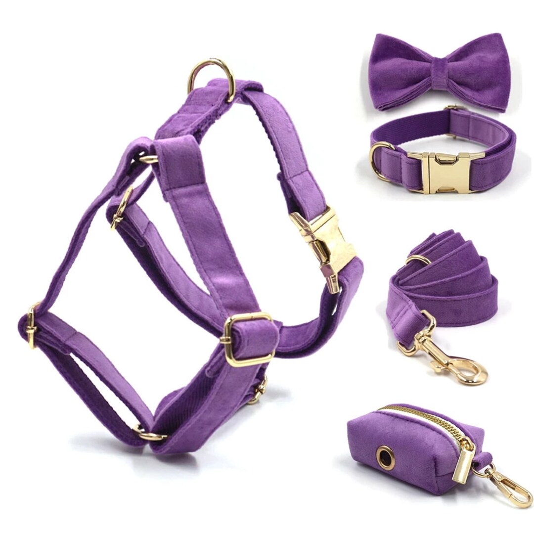 Personalized Purple Velvet Harness Collar Leash Bow Tie Poo Bag Set