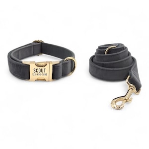 May include: A gray velvet dog collar and leash set with a gold buckle and a personalized name tag that reads "SCOUT 123-456-7890".