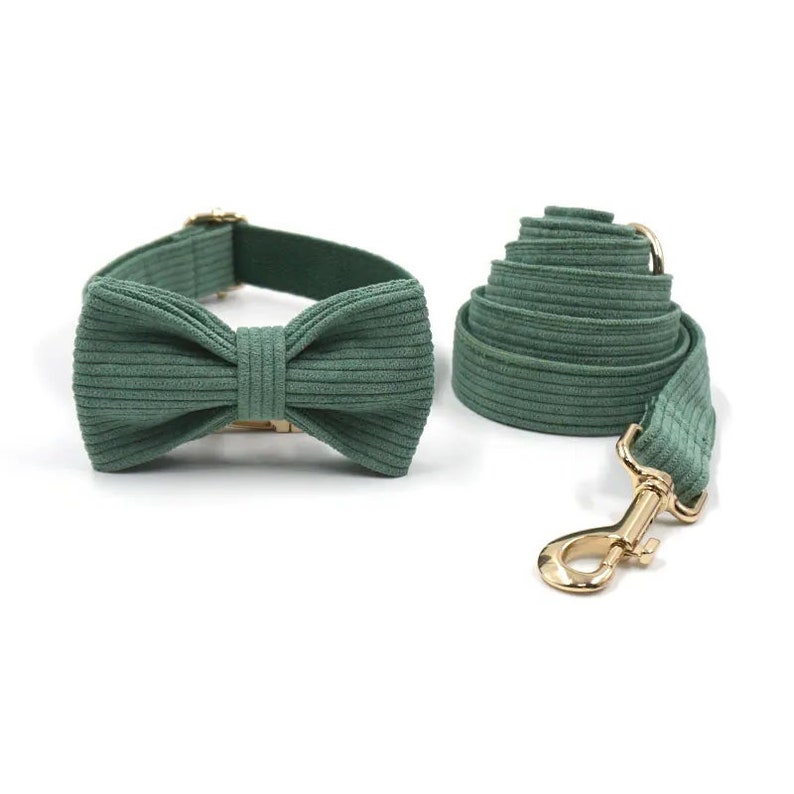 Puede incluir: Un collar y una correa a juego de pana verde con un cierre de metal dorado. El collar tiene una pajarita.