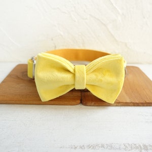 Collier et laisse pour chien personnalisés en velours jaune citron Collier et laisse pour chien personnalisés Collier pour chien et noeud papillon jaunes Collier pour chien souple Collar & Bow Tie