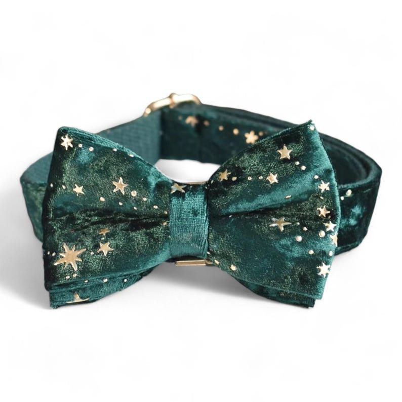 Puede incluir: Un collar de perro de terciopelo verde con un patr&oacute;n de estrellas doradas y una pajarita a juego.