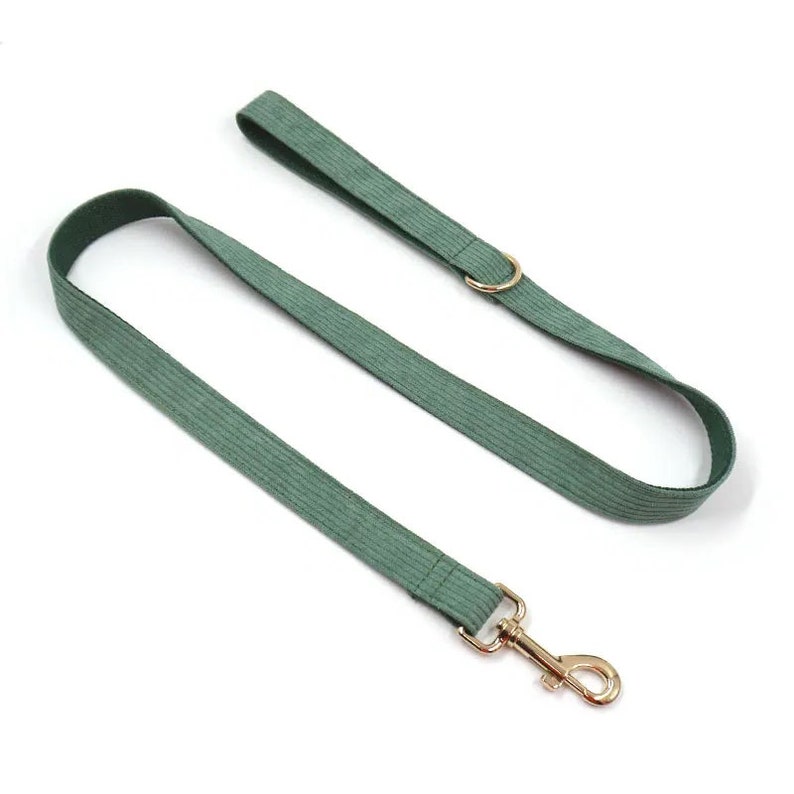 Puede incluir: Una correa de perro de pana verde con un clip y un anillo de metal dorado.