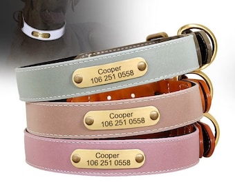 Reflektierendes Lederhalsband für Hunde - Reflektierendes Hundehalsband mit Gravur - Rosa Braun Grünes Hundehalsband - Sicherheitshalsband aus Leder für Hunde