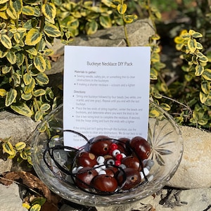 May include: A DIY kit for making a buckeye necklace. The kit includes brown buckeyes, white and red beads, and black string. The instructions on the card read: "Buckeye Necklace DIY Pack".
