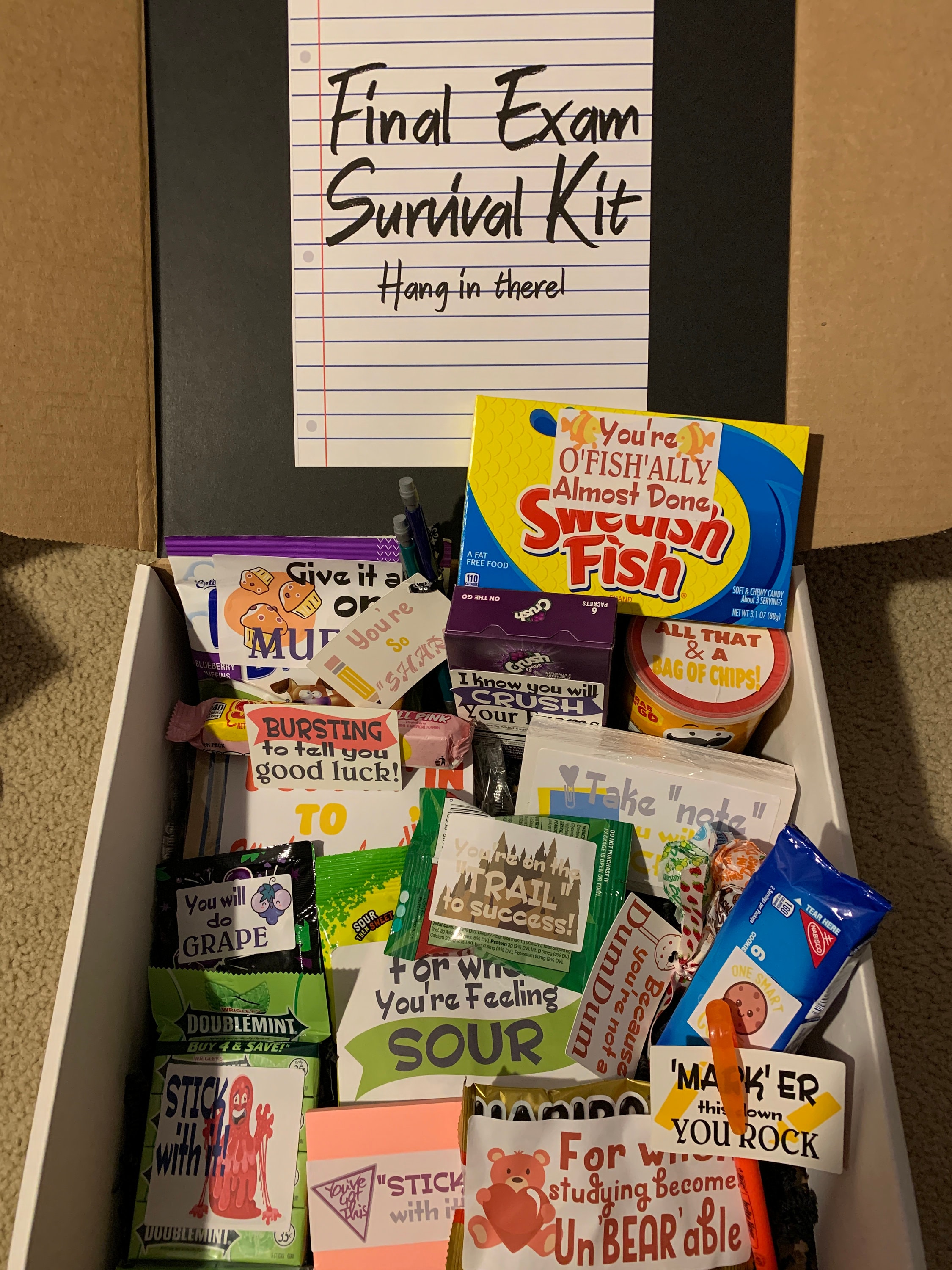 My College Crate Large Ultimate Snack Care Package for College Students -  Variety Assortment of Cookies, Chips & Candies - 50 Snacks + 4 Personal  Care Items - The Original College Survival Kit 