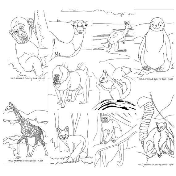 10 Printable Wild Animal Coloring Pages for Unleashing Your Inner Artist