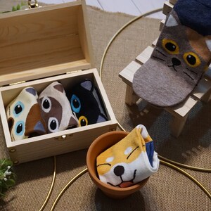 5 Pairs Women’s Fashion Cotton Socks, Patterned Socks, Cat Socks, Cute Socks, Stretchy Socks, Funny Socks, Ankle Socks