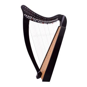 May include: A black harp with strings, featuring a wooden soundboard and a curved neck. The harp has a classic design, with a triangular frame and numerous strings stretched across the body. The instrument is set against a white background.