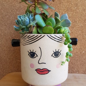 Miss Molly Planter with 8 Succulent Cuttings included!