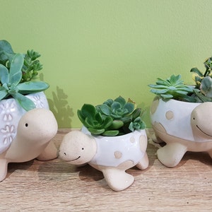 May include: Three ceramic turtle planters in different sizes, each with a white glaze and a different pattern. The planters are filled with green succulents.