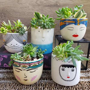 May include: Four ceramic succulent planters featuring different facial expressions. The planters are white with blue, yellow, and black accents. The succulents are green and growing in the planters.