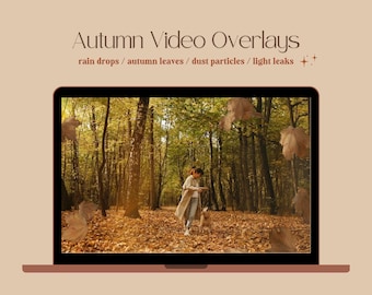 Autumn/Fall Video Overlays | 4 Video Overlays for Autumn Videos | Youtube Video-Editing and Branding