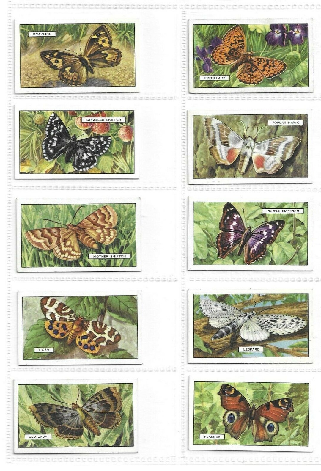 C1938 BUTTERFLIES and MOTHS Complete Set of 48 ORIGINAL Cigarette / Tobacco Cards. Etsy