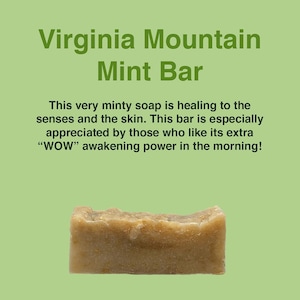 Virginia Mountain Mint Bar